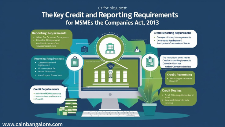 MSME Credit and Reporting Requirements